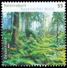 Bild von Nationalpark Bayrischer Wald