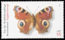 Bild von Wohlfahrt: Schmetterlinge