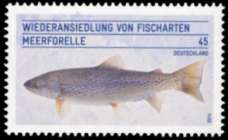Bild von Wiederansiedlung von Fischarten