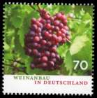 Bild von Weinanbau in Deutschland