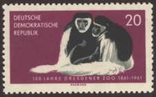 Bild von Dresdner Zoo 1861-1961