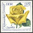 Bild von Internationale Rosenausstellung der DDR