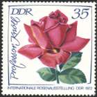 Bild von Internationale Rosenausstellung der DDR
