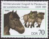 Bild von Internationaler Kongreß der Pferdezucht 40.