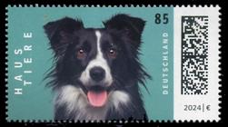 Briefmarke zu Bundesrepublik Deutschland (BRD) Haustiere: Hund 85 C mehrfarbig