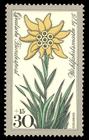 Bild von Wohlfahrt: Alpenblumen