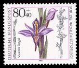 Briefmarke zu Bundesrepublik Deutschland (BRD) Wohlfahrt: Orchideen 80+40 Pfg mehrfarbig