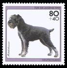 Briefmarke zu Bundesrepublik Deutschland (BRD) Jugend: Hunde 80+40 Pfg mehrfarbig