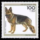 Briefmarke zu Bundesrepublik Deutschland (BRD) Jugend: Hunde 100+50 Pfg mehrfarbig