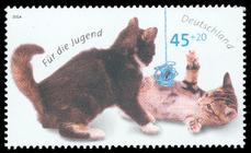 Bild von Jugend: Katzen