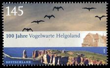 Bild von 100 Jahre Vogelwarte Helgoland