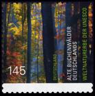 Bild von UNESCO-Weltkulturerbe: Alte Buchenwälder Deutschlands