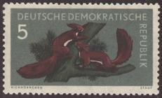 Briefmarke zu Deutsche Demokratische Republik (DDR) Waldtiere 5 Pfg mehrfarbig