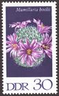 Briefmarke zu Deutsche Demokratische Republik (DDR) Kakteen 30 Pfg mehrfarbig