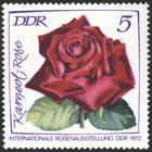 Bild von Internationale Rosenausstellung in Erfurt