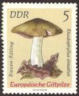 Briefmarke zu Deutsche Demokratische Republik (DDR) Europäische Giftpilze 5 Pfg mehrfarbig