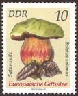 Briefmarke zu Deutsche Demokratische Republik (DDR) Europäische Giftpilze 10 Pfg mehrfarbig