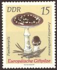 Briefmarke zu Deutsche Demokratische Republik (DDR) Europäische Giftpilze 15 Pfg mehrfarbig