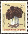 Bild von Europäische Giftpilze