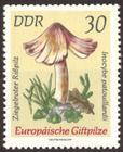 Briefmarke zu Deutsche Demokratische Republik (DDR) Europäische Giftpilze 30 Pfg mehrfarbig