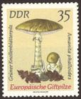 Briefmarke zu Deutsche Demokratische Republik (DDR) Europäische Giftpilze 35 Pfg mehrfarbig