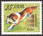 Briefmarke zu Deutsche Demokratische Republik (DDR) Hunde 25 Pfg mehrfarbig