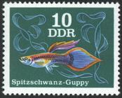 Briefmarke zu Deutsche Demokratische Republik (DDR) Zierfische 10 Pfg mehrfarbig