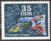 Briefmarke zu Deutsche Demokratische Republik (DDR) Zierfische 35 Pfg mehrfarbig
