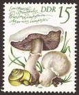 Briefmarke zu Deutsche Demokratische Republik (DDR) Europäische Speisepilze 15 Pfg mehrfarbig