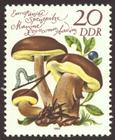 Briefmarke zu Deutsche Demokratische Republik (DDR) Europäische Speisepilze 20 Pfg mehrfarbig