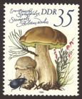 Briefmarke zu Deutsche Demokratische Republik (DDR) Europäische Speisepilze 35 Pfg mehrfarbig