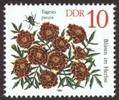 Briefmarke zu Deutsche Demokratische Republik (DDR) Herbstblumen 10 Pfg mehrfarbig