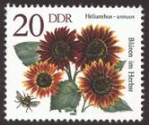 Briefmarke zu Deutsche Demokratische Republik (DDR) Herbstblumen 20 Pfg mehrfarbig