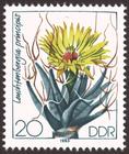 Briefmarke zu Deutsche Demokratische Republik (DDR) Kakteen 20 Pfg mehrfarbig
