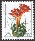 Briefmarke zu Deutsche Demokratische Republik (DDR) Kakteen 25 Pfg mehrfarbig