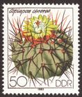 Briefmarke zu Deutsche Demokratische Republik (DDR) Kakteen 50 Pfg mehrfarbig